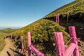 2017_08_06_Auvergne (0096)